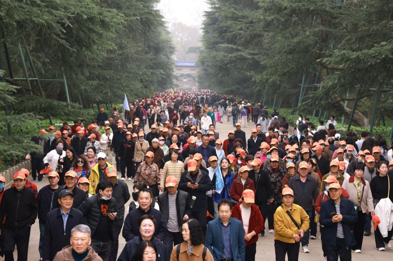 南京，父母们来啦｜河南矿山第十四届孝文化感恩旅游节第二站